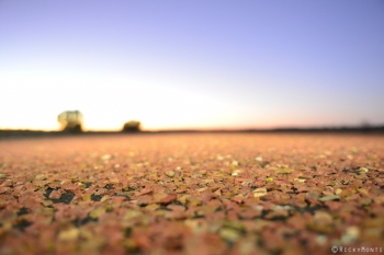 http://www.rickymonti.net/files/gimgs/th-15_AUS_AcrossTheOutback_Monti_ 012_v3.jpg